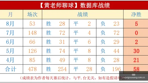 牧场物语：橄榄镇离婚复婚攻略，孩子消失之谜